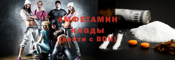 твердый Арсеньев