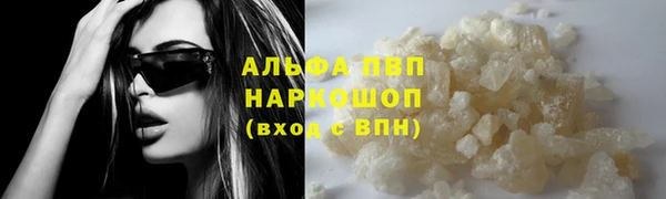 PSILOCYBIN Аркадак