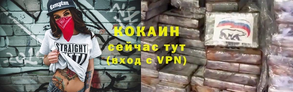PSILOCYBIN Аркадак