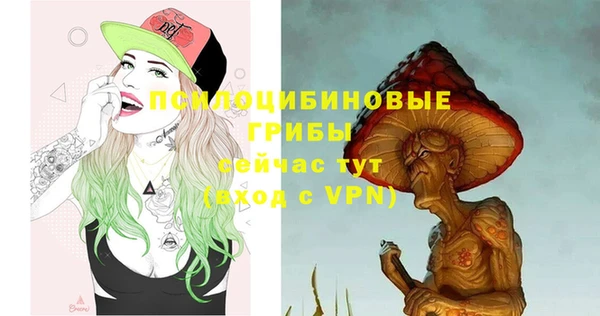 PSILOCYBIN Аркадак